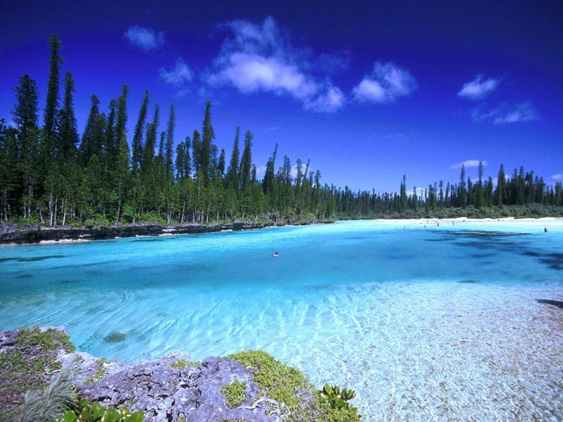 ツアーガイド・接客スタッフ