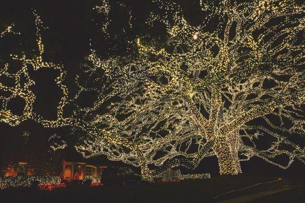 店から数ブロック先はヒューストンでも屈指の高級住宅地で治安も良い場所です