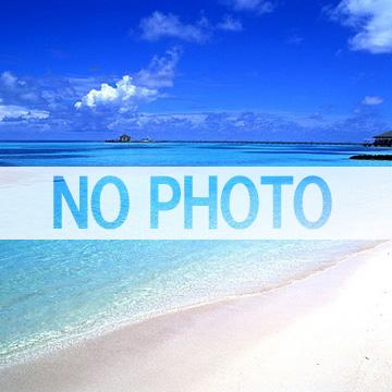 税務コンサルアシ･･･